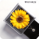 Kit Presente - Colar Girassol Radiante + Caixa Premium GRÁTIS