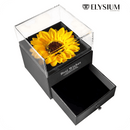 Kit Presente - Colar Girassol Radiante + Caixa Premium GRÁTIS